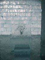Linneaus - pomník z ledu botanikovi